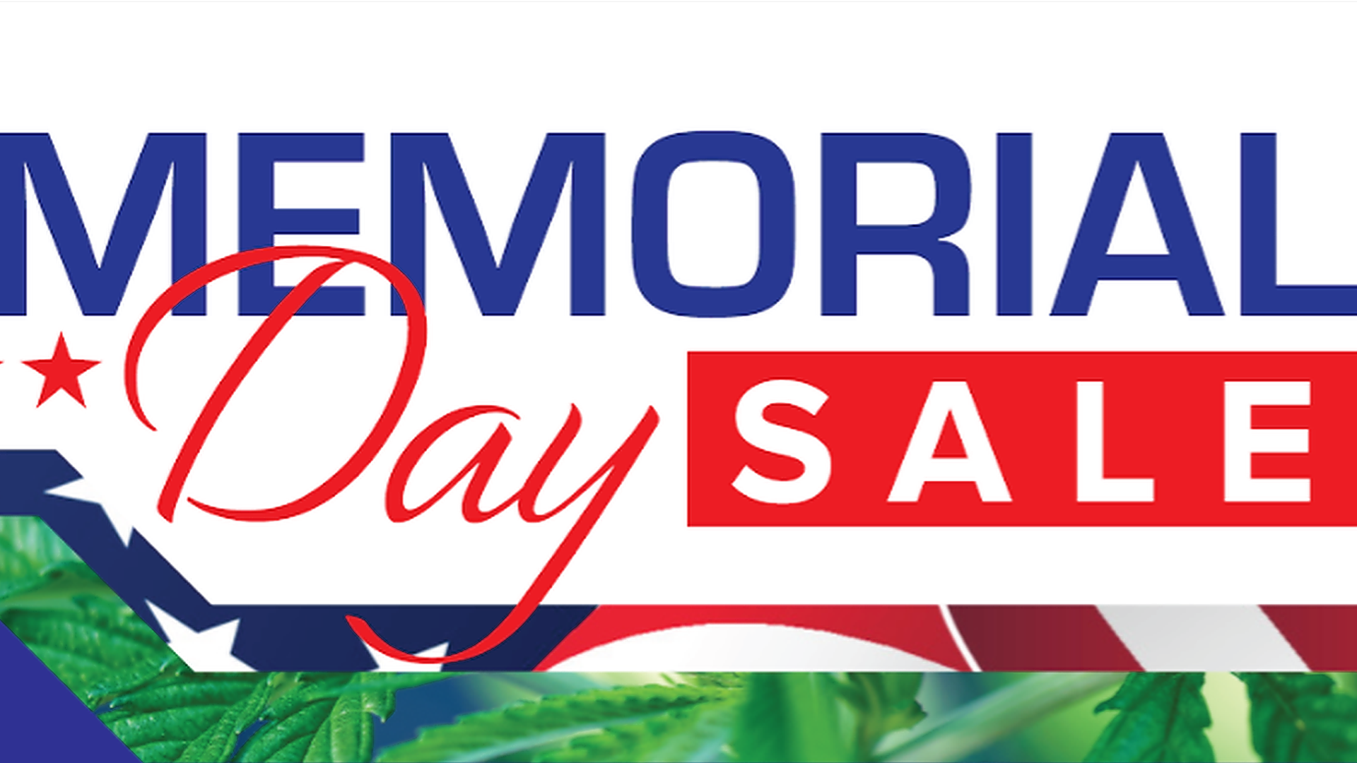 Memorial Day Sale: 6g MedLava Extracts for $100!